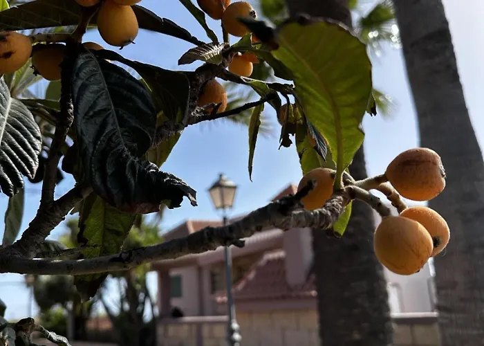 Casa La Quinta * Costa Adeje (Tenerife)